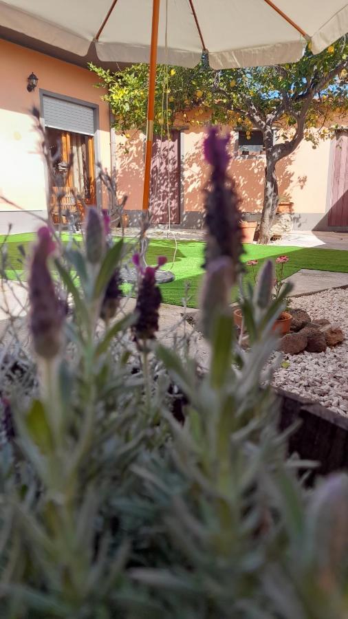 Su Fassoi Cabras Bed & Breakfast ภายนอก รูปภาพ