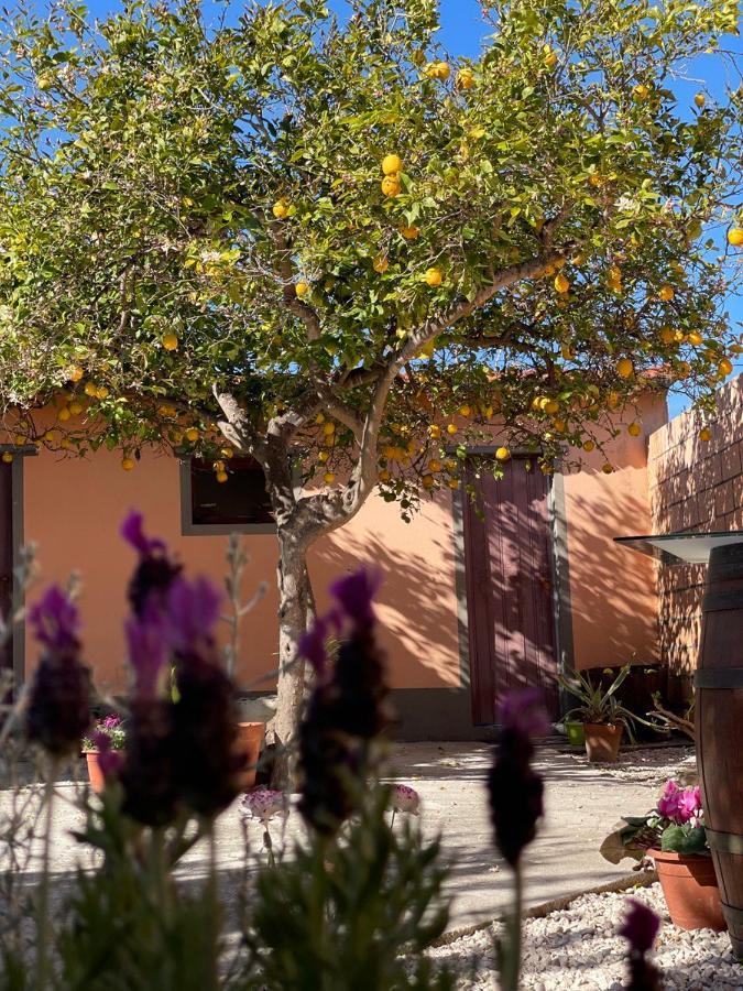Su Fassoi Cabras Bed & Breakfast ภายนอก รูปภาพ