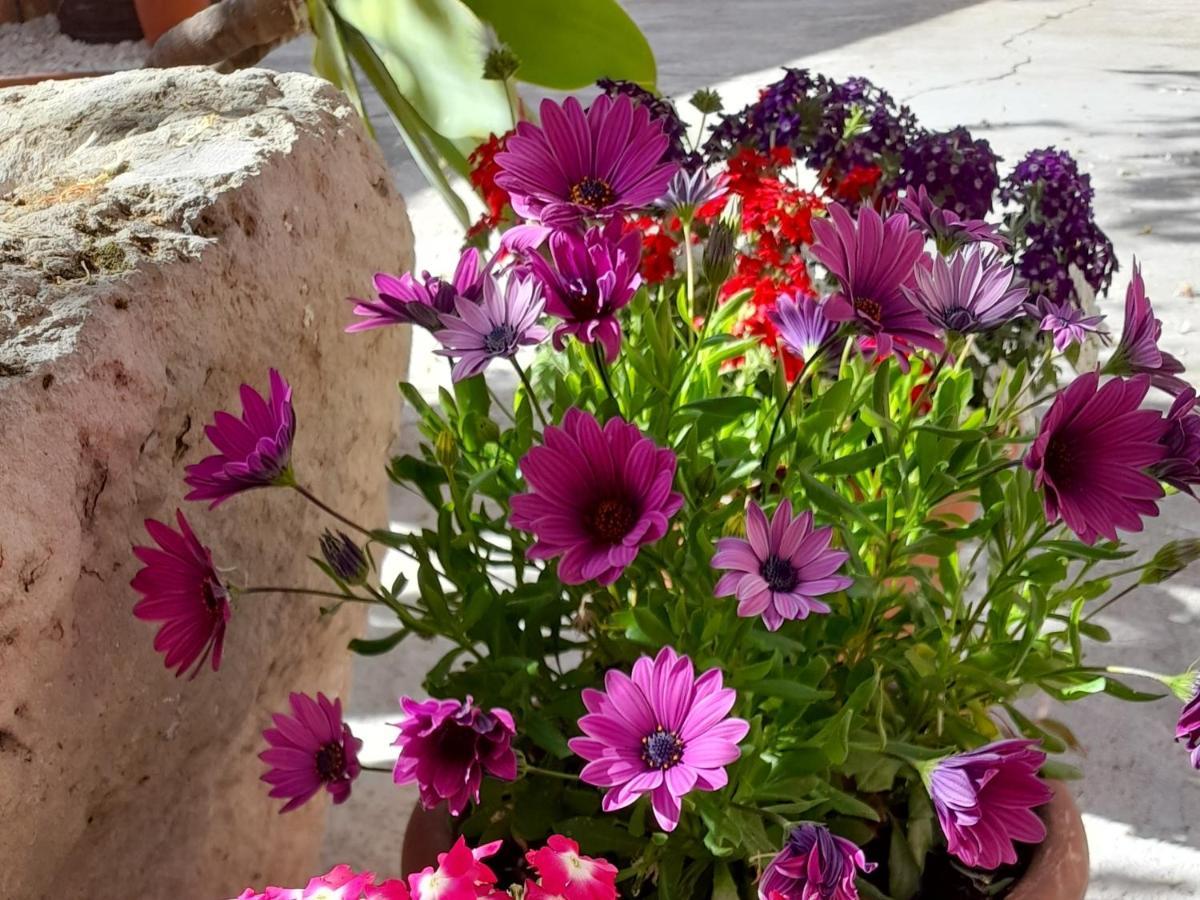 Su Fassoi Cabras Bed & Breakfast ภายนอก รูปภาพ