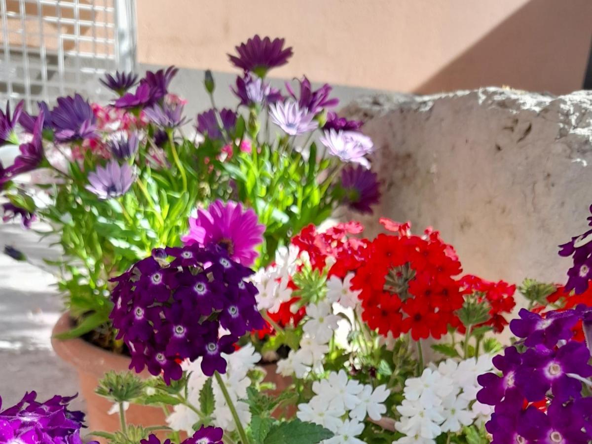 Su Fassoi Cabras Bed & Breakfast ภายนอก รูปภาพ